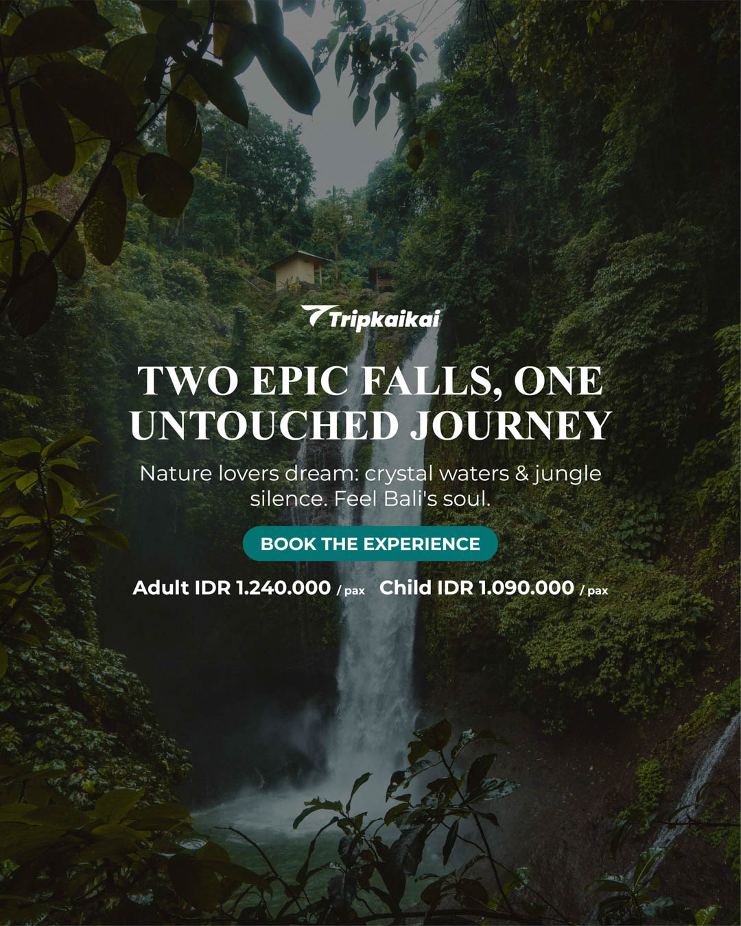 Proyek Desain Grafis 2